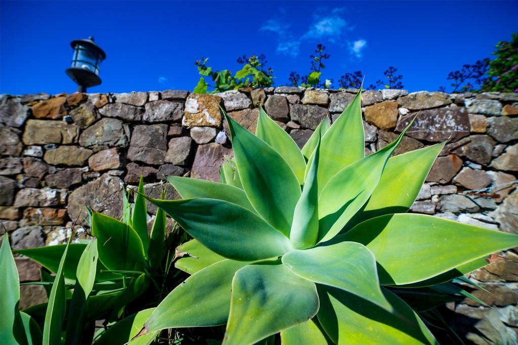 El Levante Tarifa Exterior photo